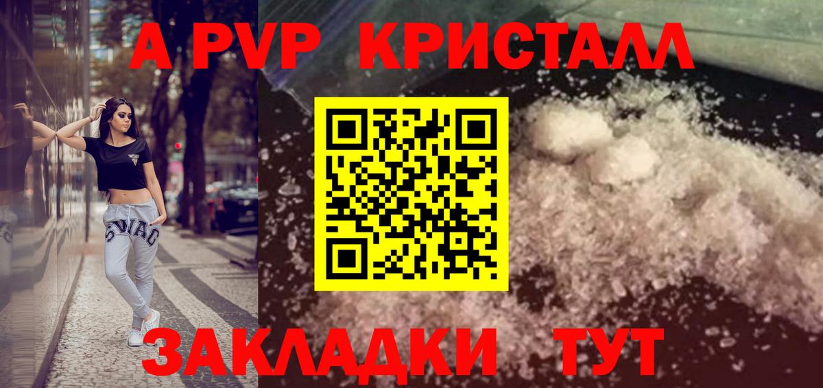 APVP  A PVP СК КРИС  Кизилюрт  Вход с VPN  Альфа ПВП СК 