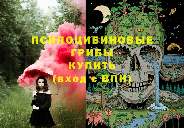 бутират Алзамай