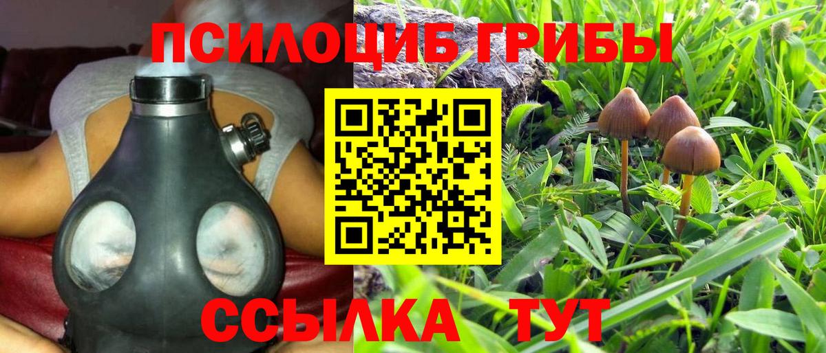 Галлюциногенные грибы GOLDEN TEACHER  Вход с VPN  Кизилюрт 